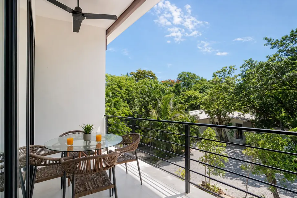 Noma Pura Vida terrace at midday