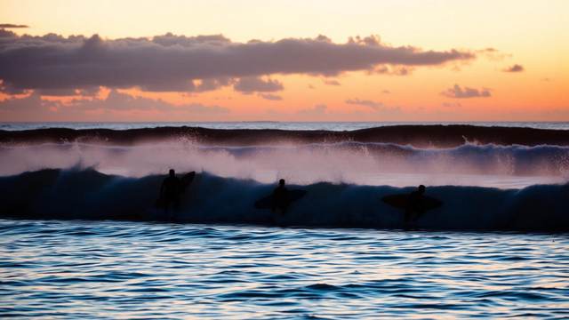Surf