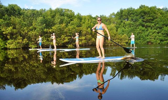 Nosara Mangrove Wildlife Tour