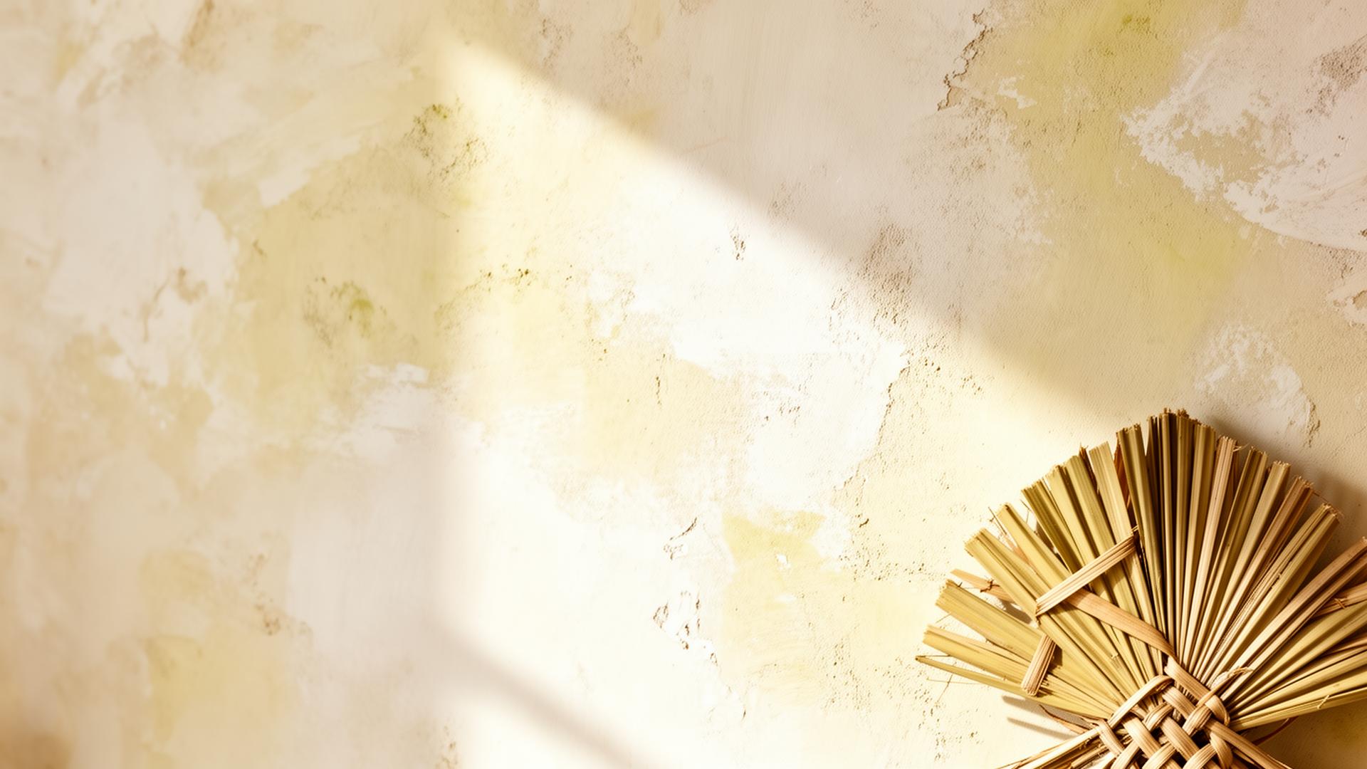 Hand-applied lime-wash plaster wall with woven palm artifact
